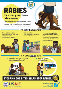 Stopping Dog Bites Helps Stop Rabies